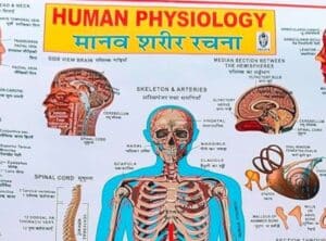نمونه سوال فیزیولوژی پزشکی